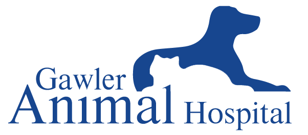 Gawler Animal Hospital