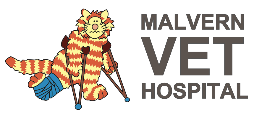 Malvern Veterinary Hospital Logo