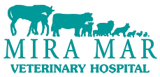 Mira Mar Veterinary Hospital