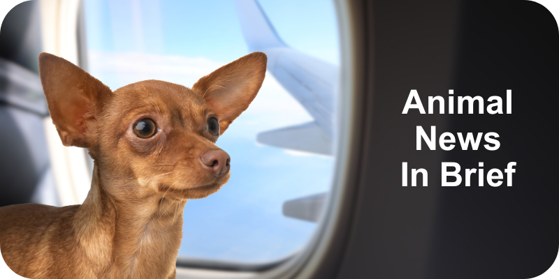 Animal News In Brief