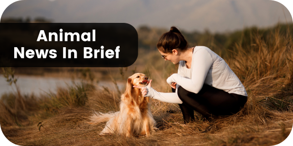 Animal News In Brief