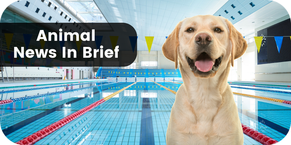 Animal News In Brief
