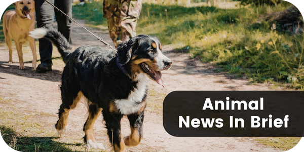 Animal News In Brief