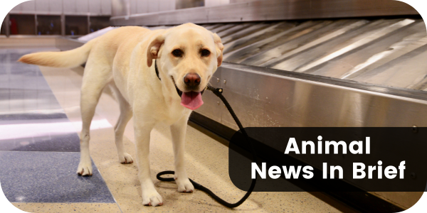 Animal News In Brief