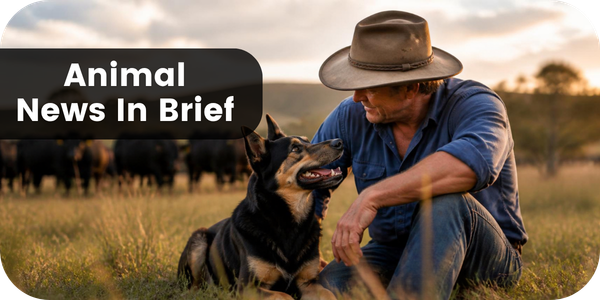 Animal News In Brief