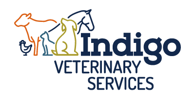 Indigo Veterinary Services Logo