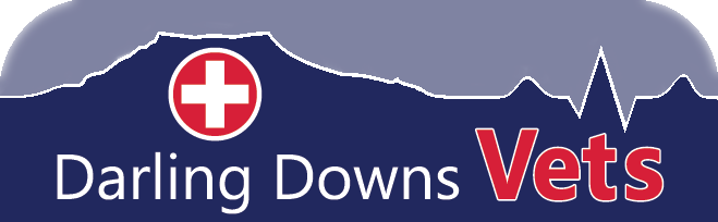 Darling Downs Vets Logo